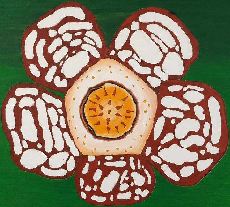 La Rafesia hasseltii — Cyril Lombard